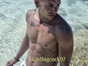 Eddbigcock97
