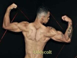 Eddycolt