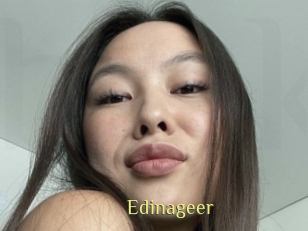 Edinageer