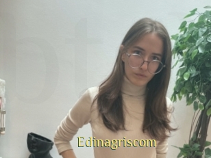 Edinagriscom