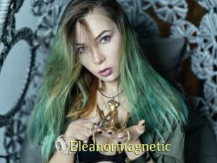 Eleanormagnetic