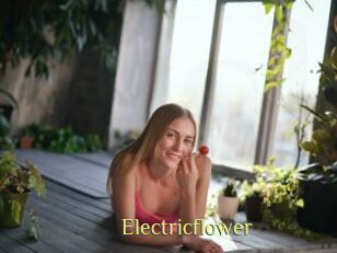 Electricflower