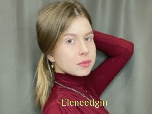 Eleneedgin