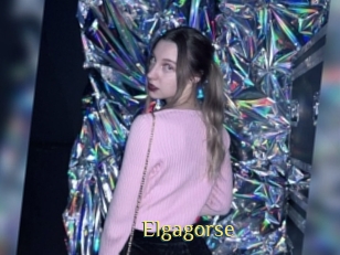 Elgagorse