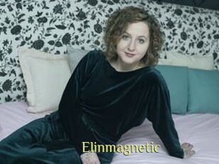 Elinmagnetic