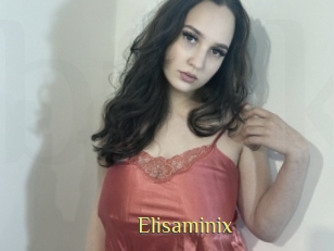 Elisaminix