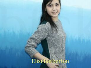 Elisebarberton