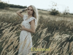 Elizamool