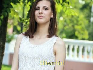 Ellieorhid