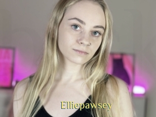 Elliepawsey