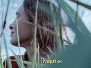 Elvagrise