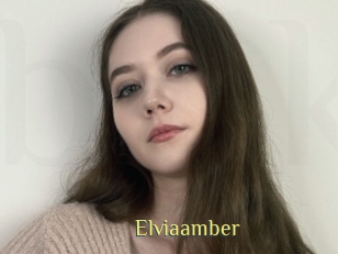 Elviaamber