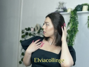 Elviacollinge