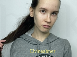 Elvinaabner
