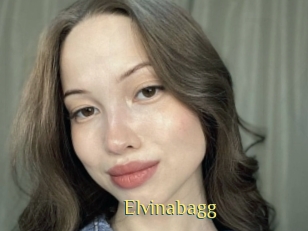 Elvinabagg