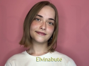 Elvinabute