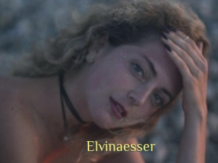 Elvinaesser