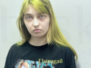 Elvinagail