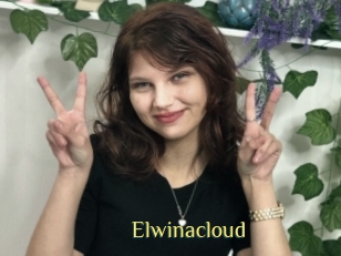 Elwinacloud