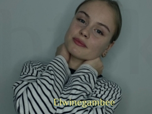 Elwinegambee