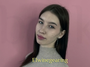 Elwinegearing