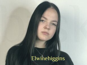 Elwinehiggins