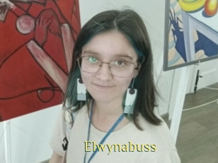 Elwynabuss
