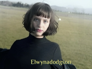 Elwynadodgson