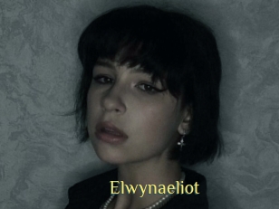 Elwynaeliot