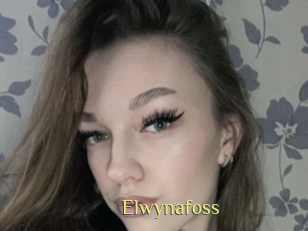 Elwynafoss