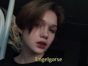 Engelgorse