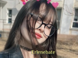 Erlenebate