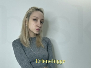 Erlenebigge