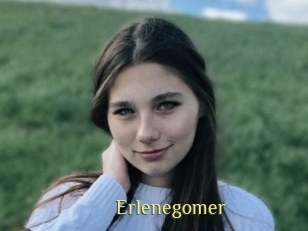Erlenegomer