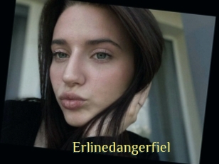 Erlinedangerfiel
