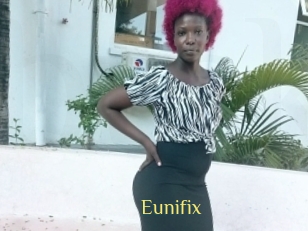 Eunifix