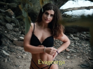 Evageorga