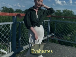 Evahestes