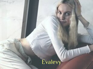 Evalevy