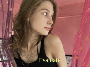Evamate