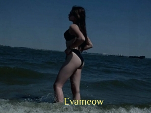 Evameow