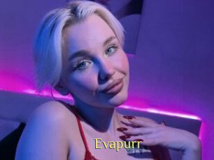 Evapurr