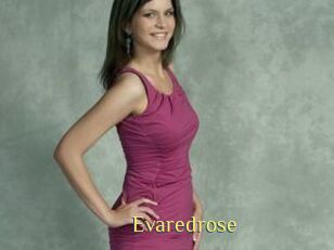 Evaredrose