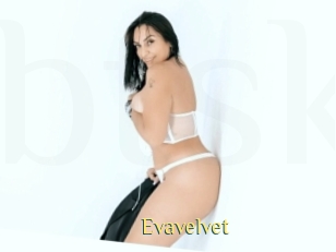 Evavelvet