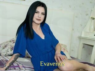 Evavenus