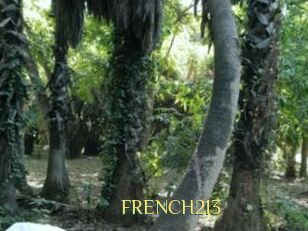 FRENCH213