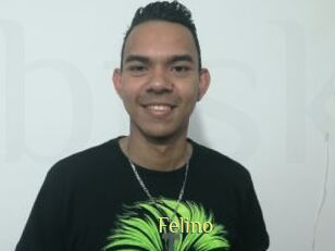 Felino