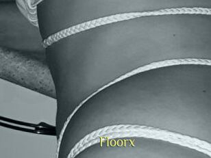 Floorx