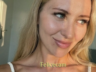 Felicecam