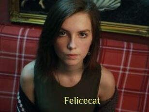 Felicecat